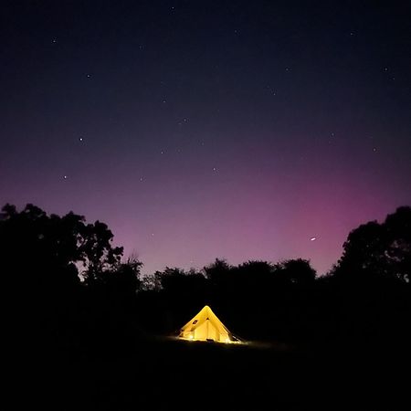 Bell Tent 4M Fossewold Farm Camping Moreton-in-Marsh Exteriör bild